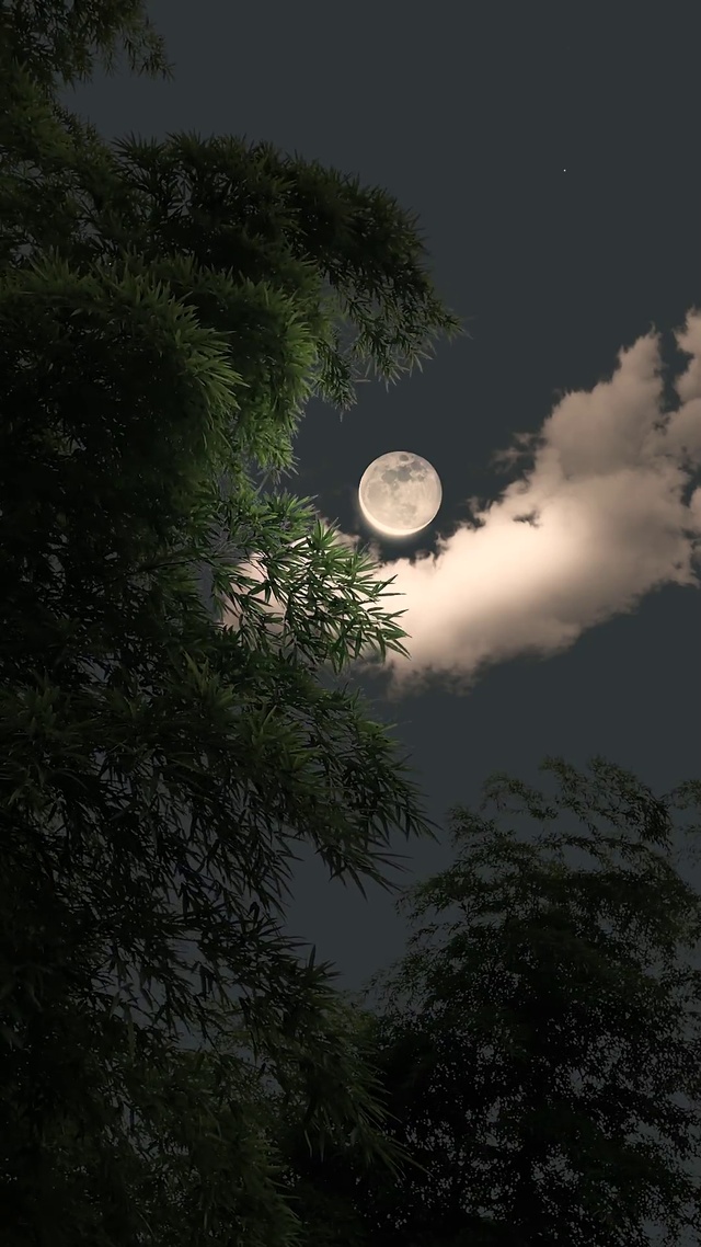 安静的夜晚
