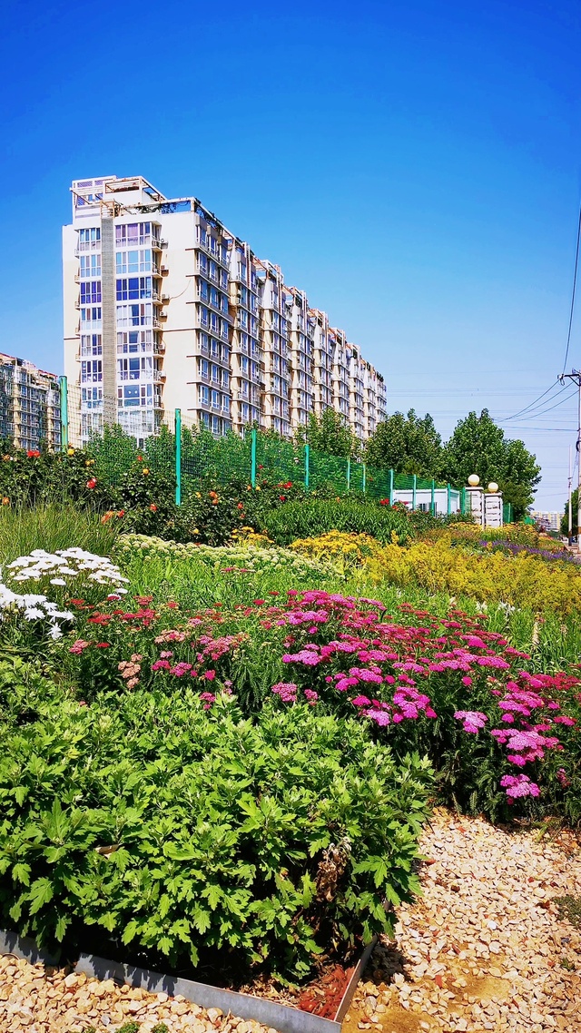 城市花园