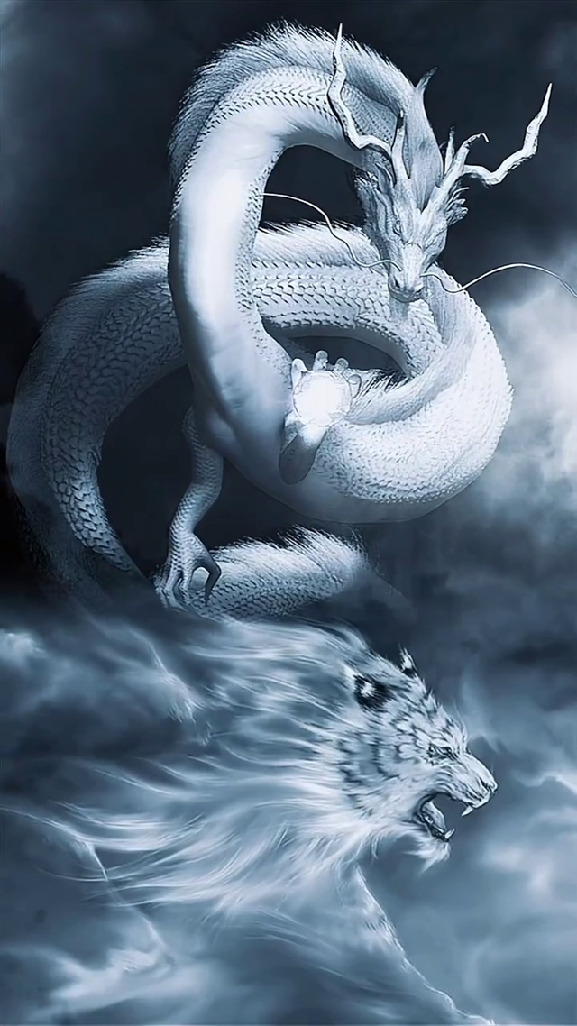 虎啸龙吟天下吉