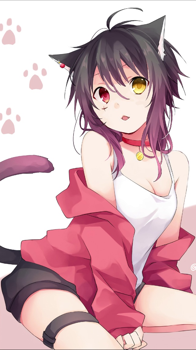 猫娘
