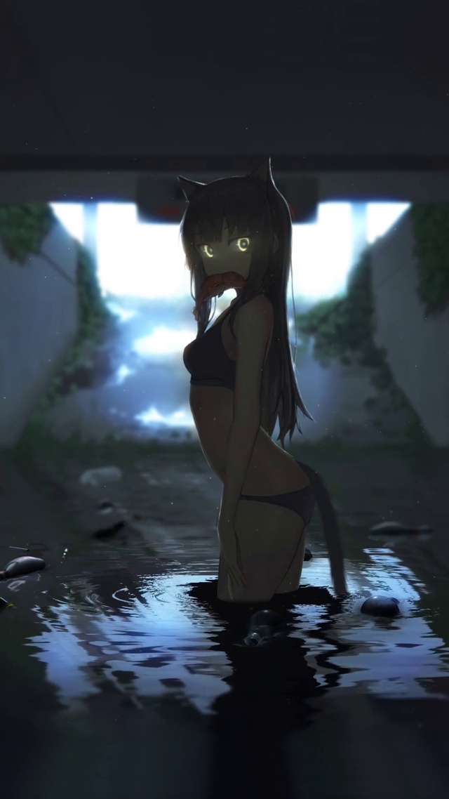家养猫下乡体验生活