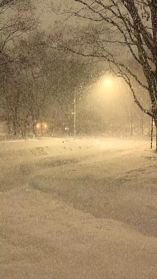 爆款夜晚下雪壁纸