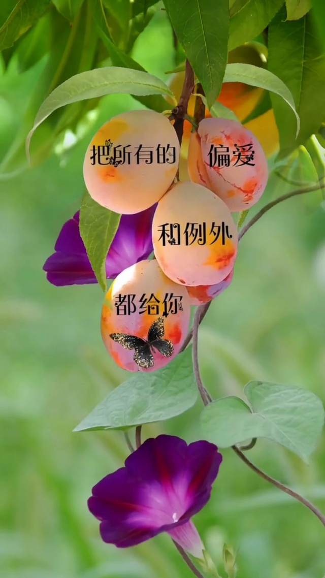 收获满满