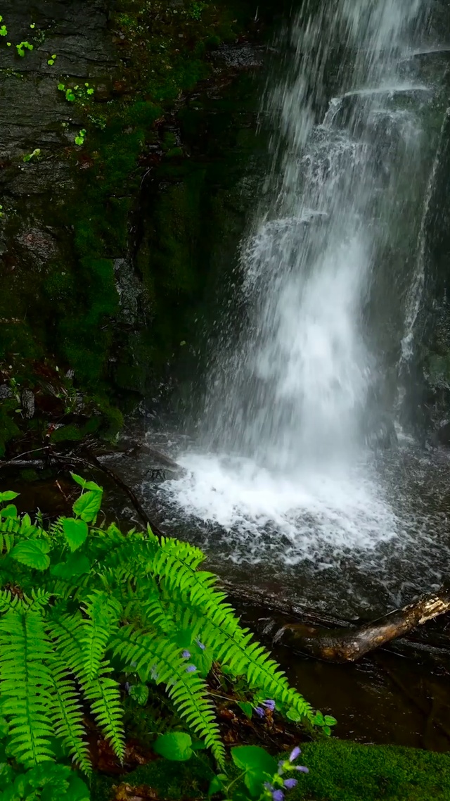 夏日清凉溪水瀑布