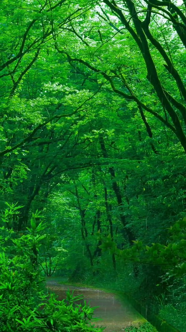 相处久了你会发现：“人与之间最大的吸引力不是你的容貌、不是你的光环。