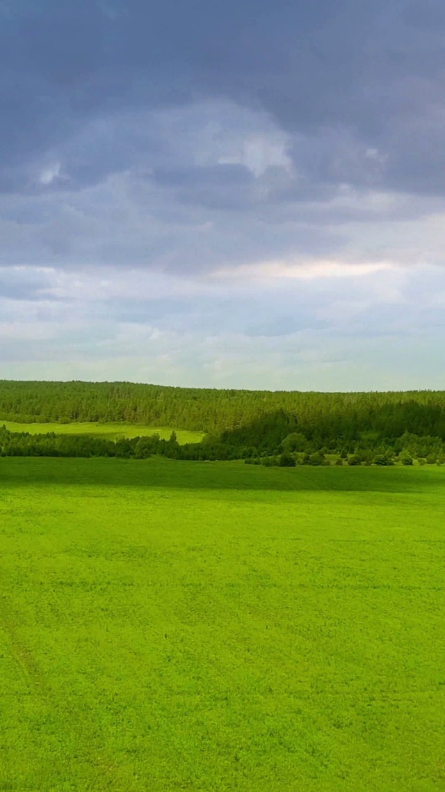 4K护眼绿色草地