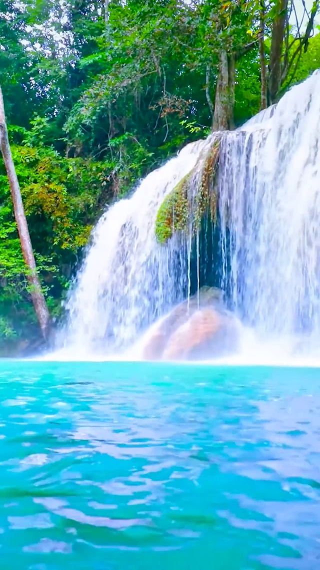 夏日绿林瀑布水潭