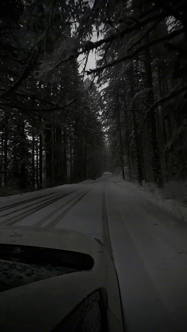 雪夜中行驶