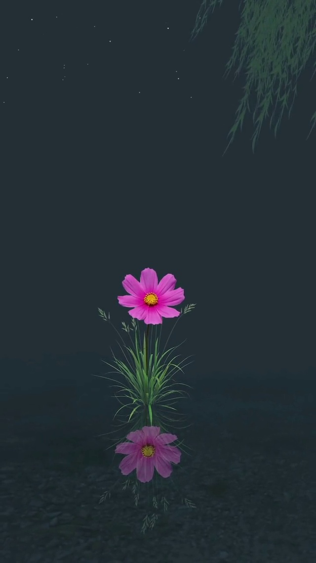 摇曳的小花朵