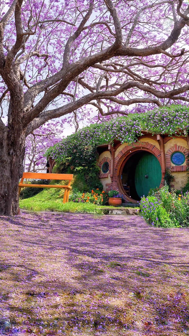 蓝花楹树下的霍比特小屋