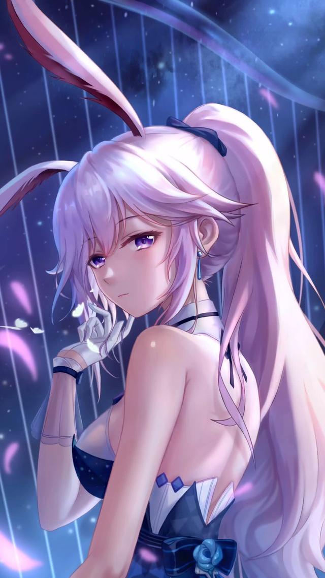 超可爱小兔子