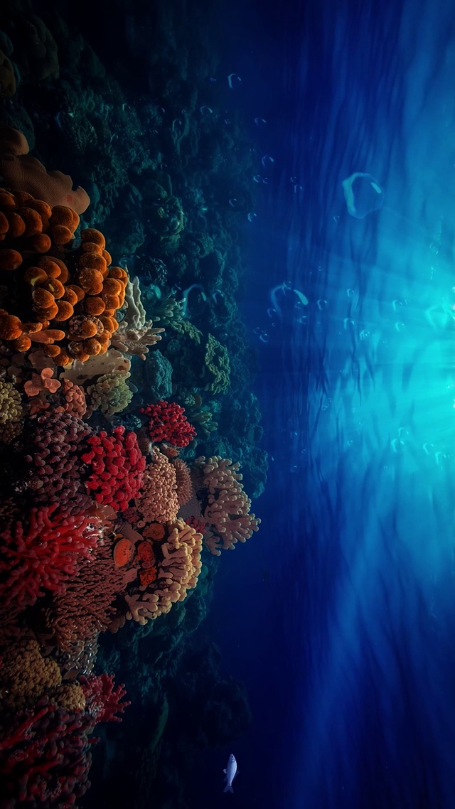 海洋世界