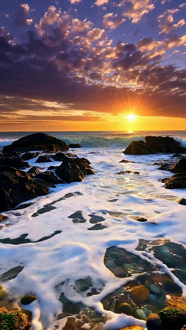 紫霞与浪的邂逅