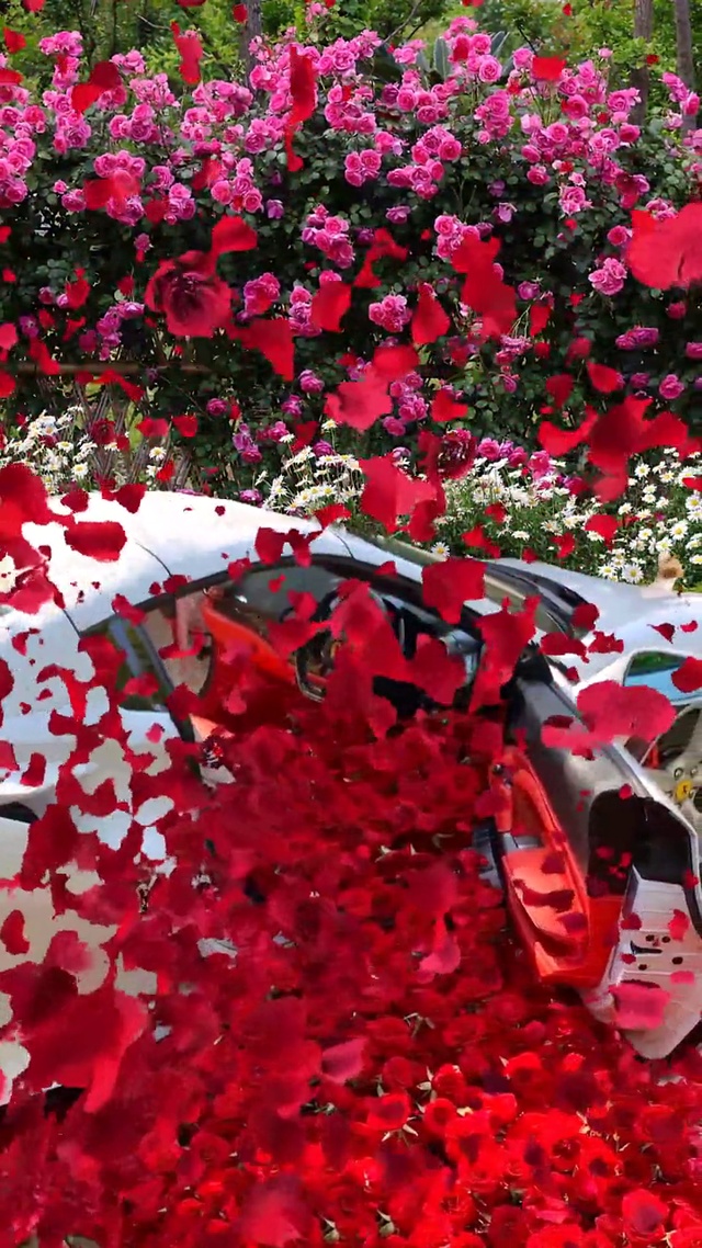 玫瑰花车