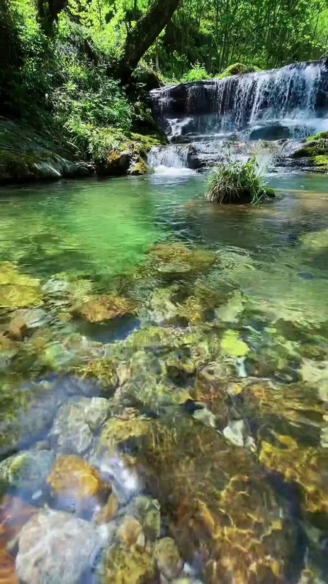 自然清澈水流