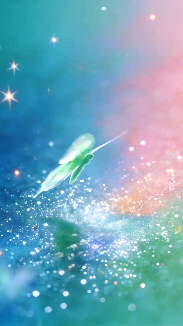 蝴蝶飞