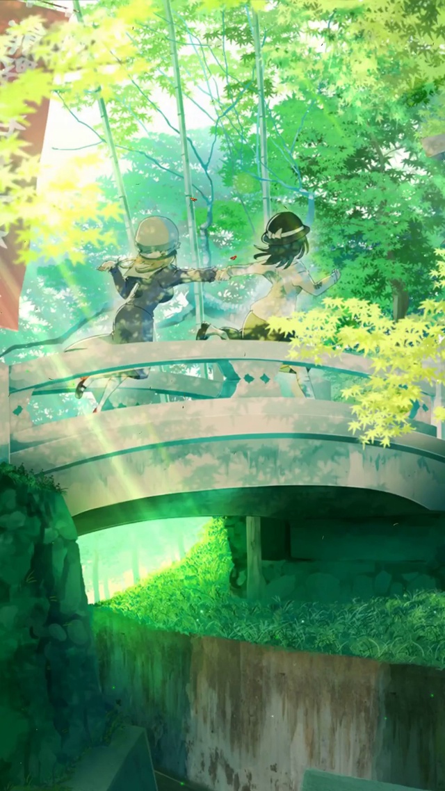 护眼绿色竹林风景