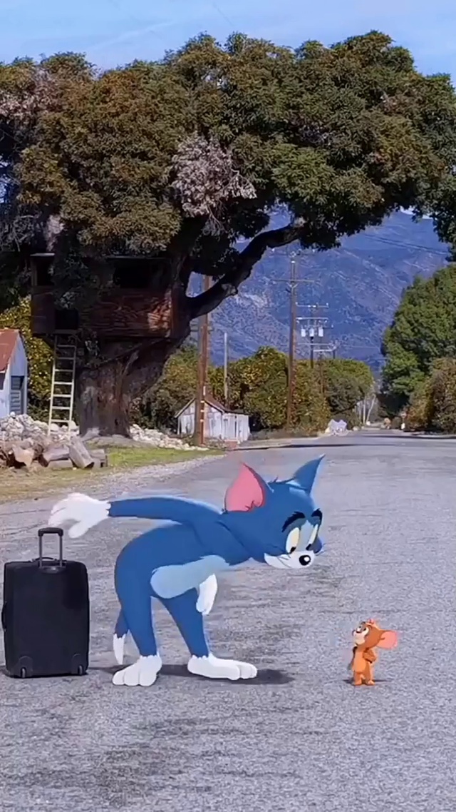 猫和老鼠