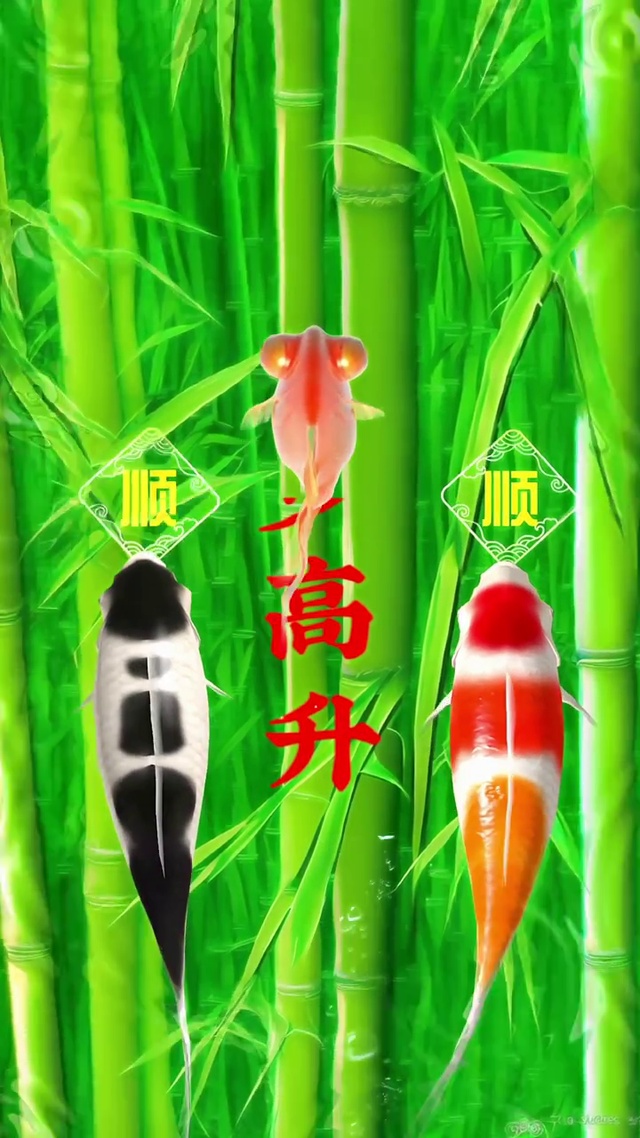 步步高升，顺顺顺～