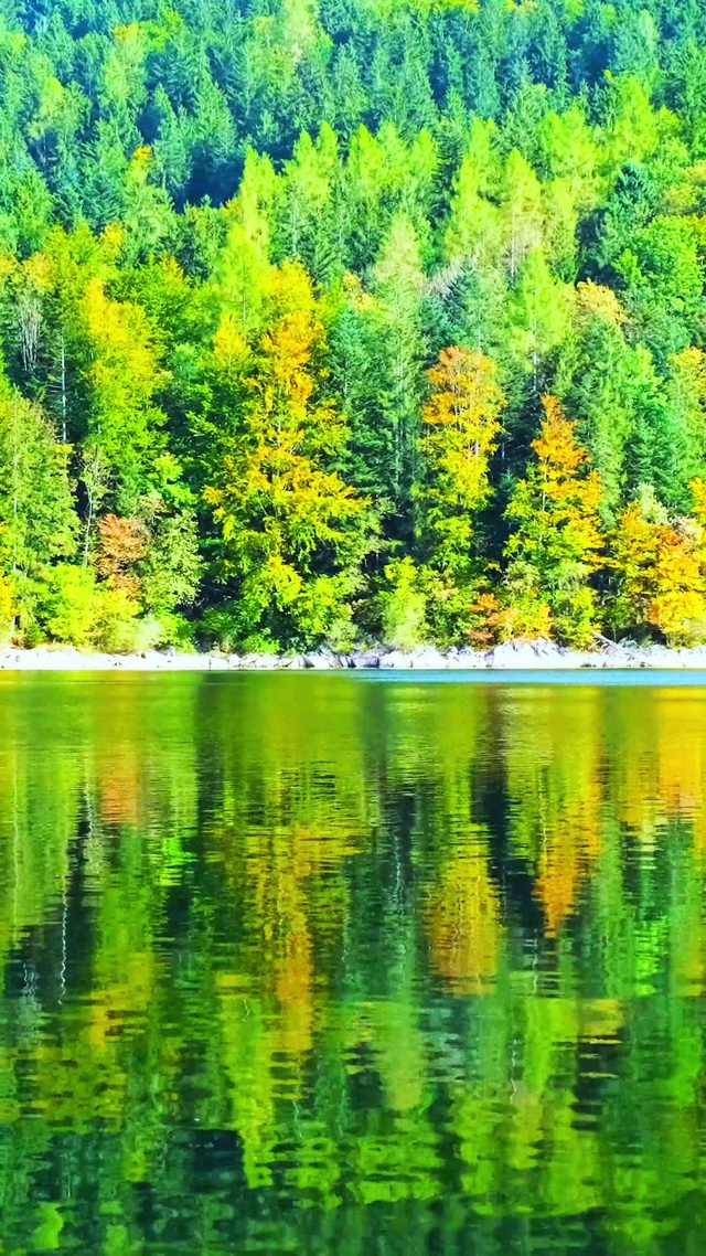 治愈湖光山色4K