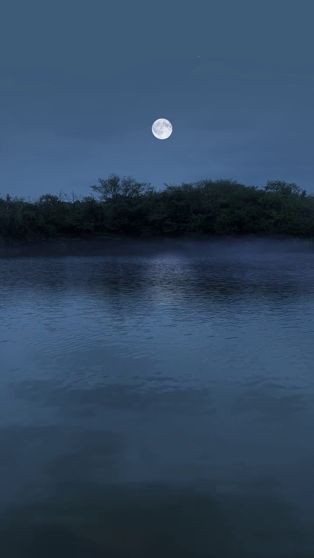 安静夜晚，孤月独赏。