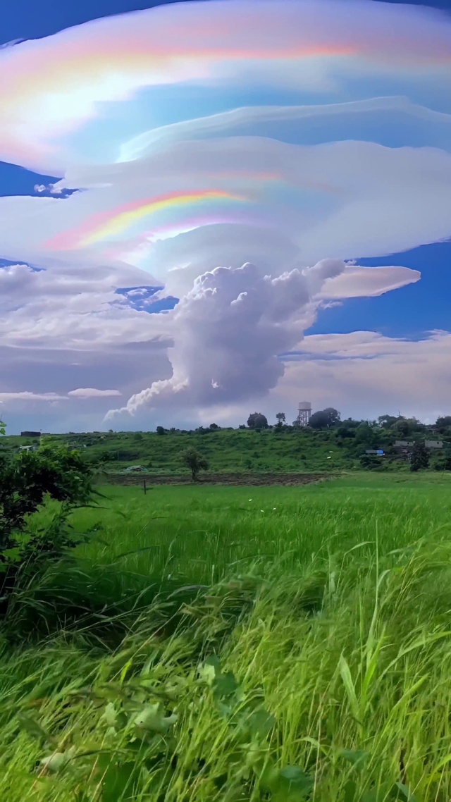 清华词作云霞彩，典重文成金石声