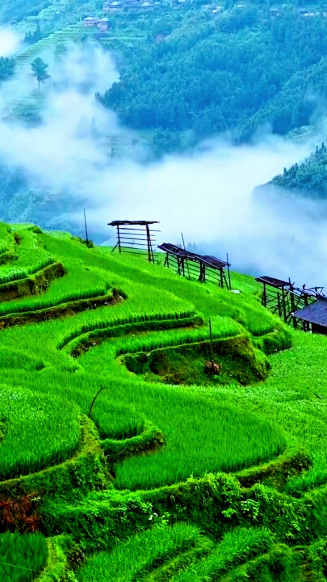 4K唯美乡村流云