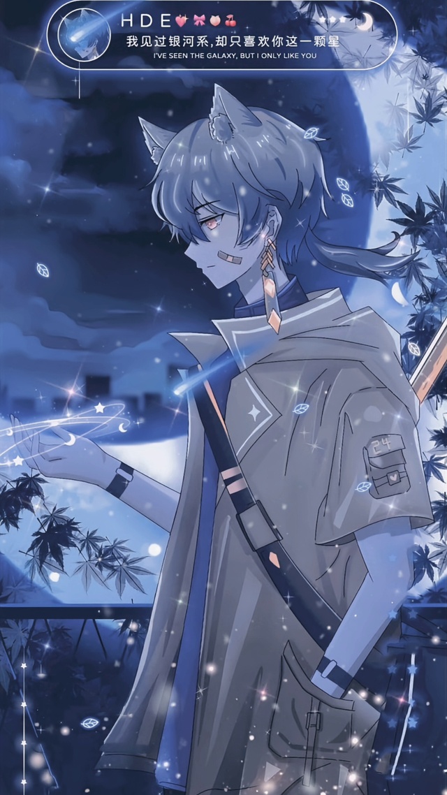 我见过银河系，却只喜欢你这一颗星