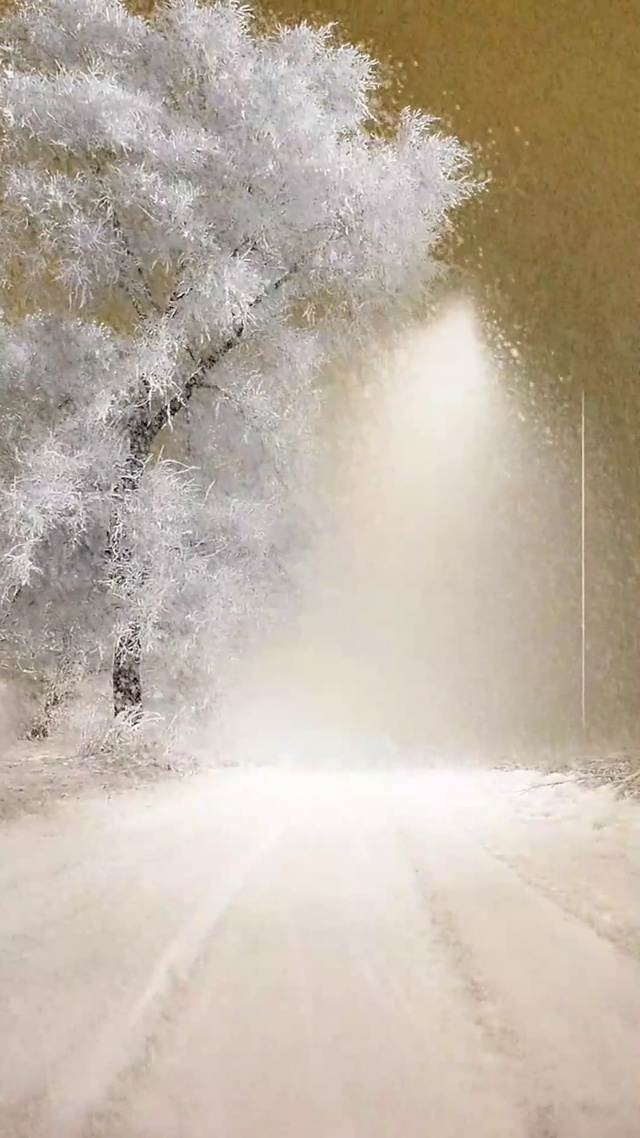 瑞雪丰年