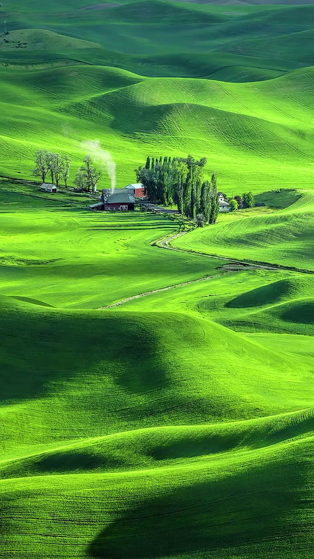 美丽的草原我的家