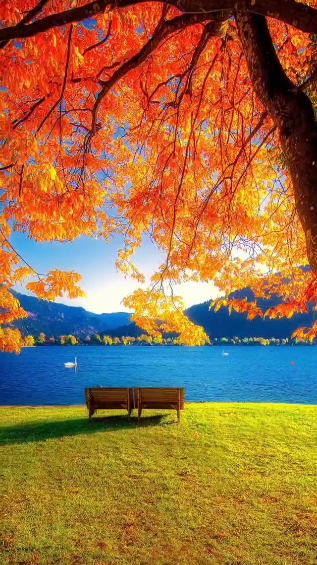 秋天和你手牵手