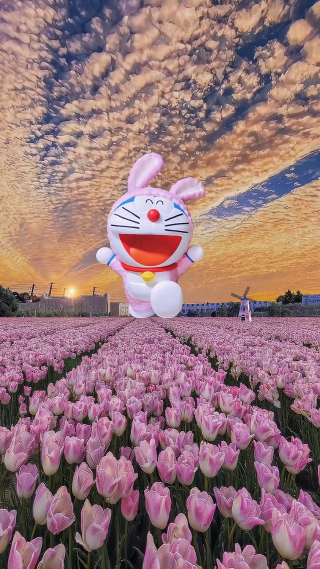 浪漫郁金香花海