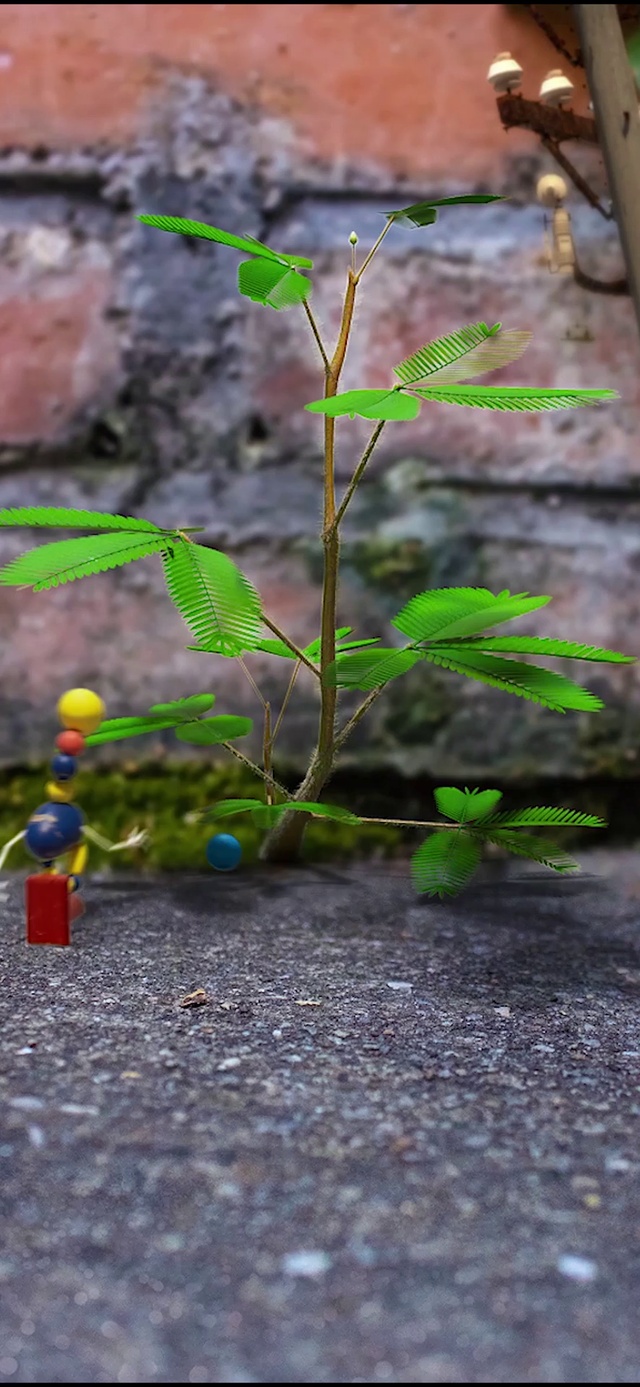 积木奥斯卡-含羞草