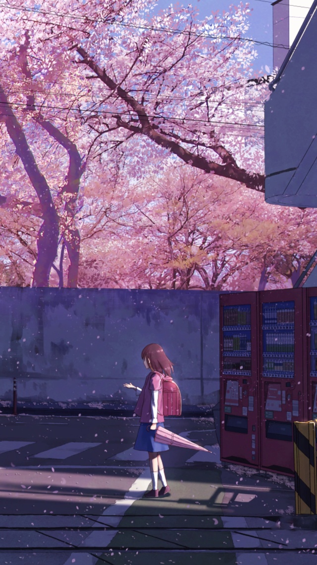 【秒速五厘米】桜花抄