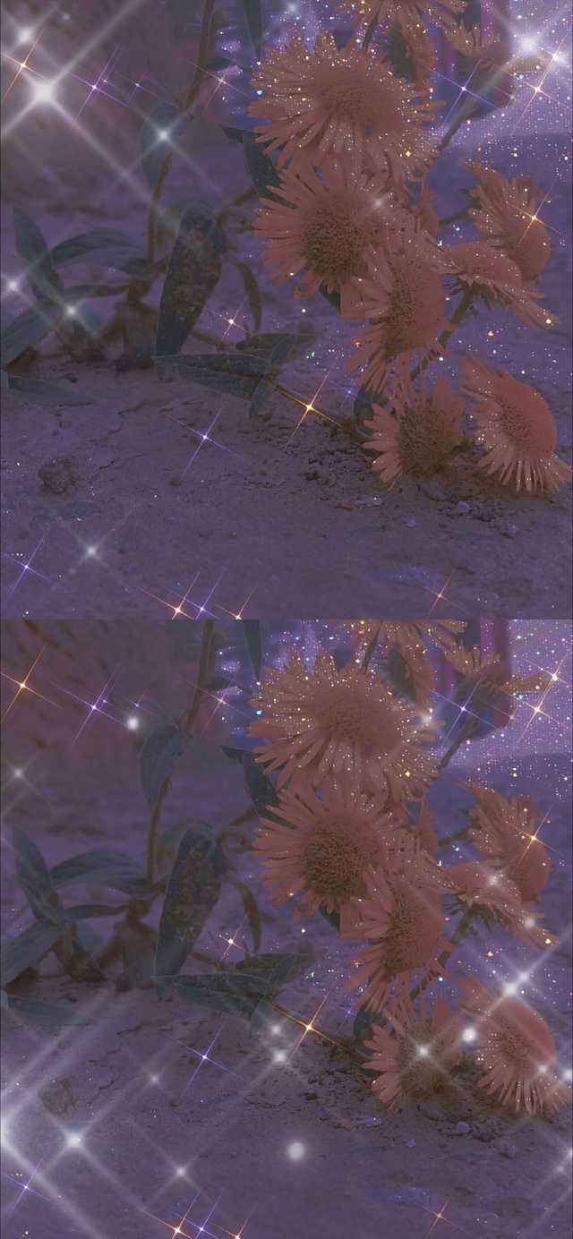 生活中的小确幸