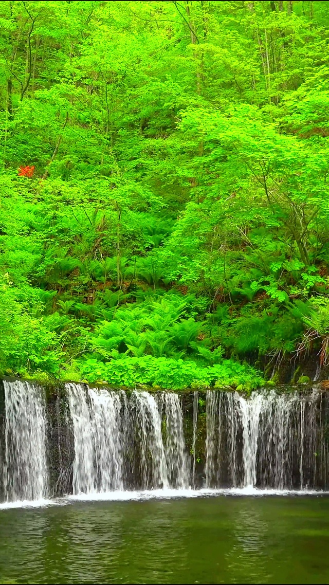 4K治愈护眼瀑布