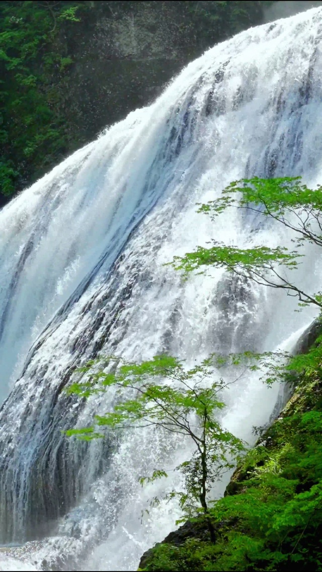 唯美山涧瀑布4K