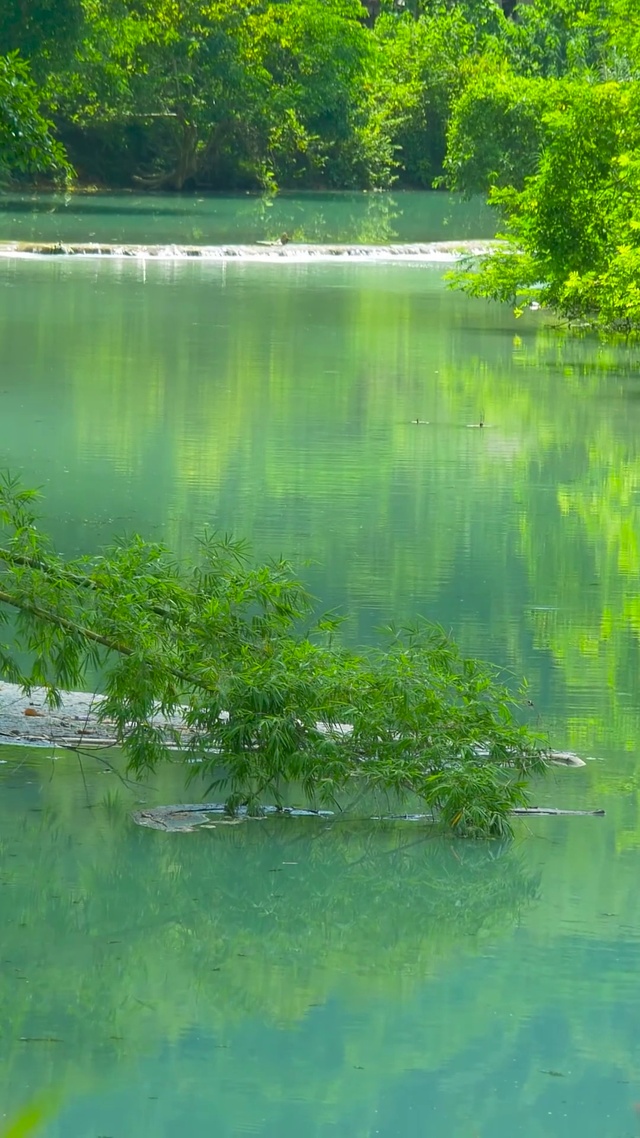 护眼绿林河流