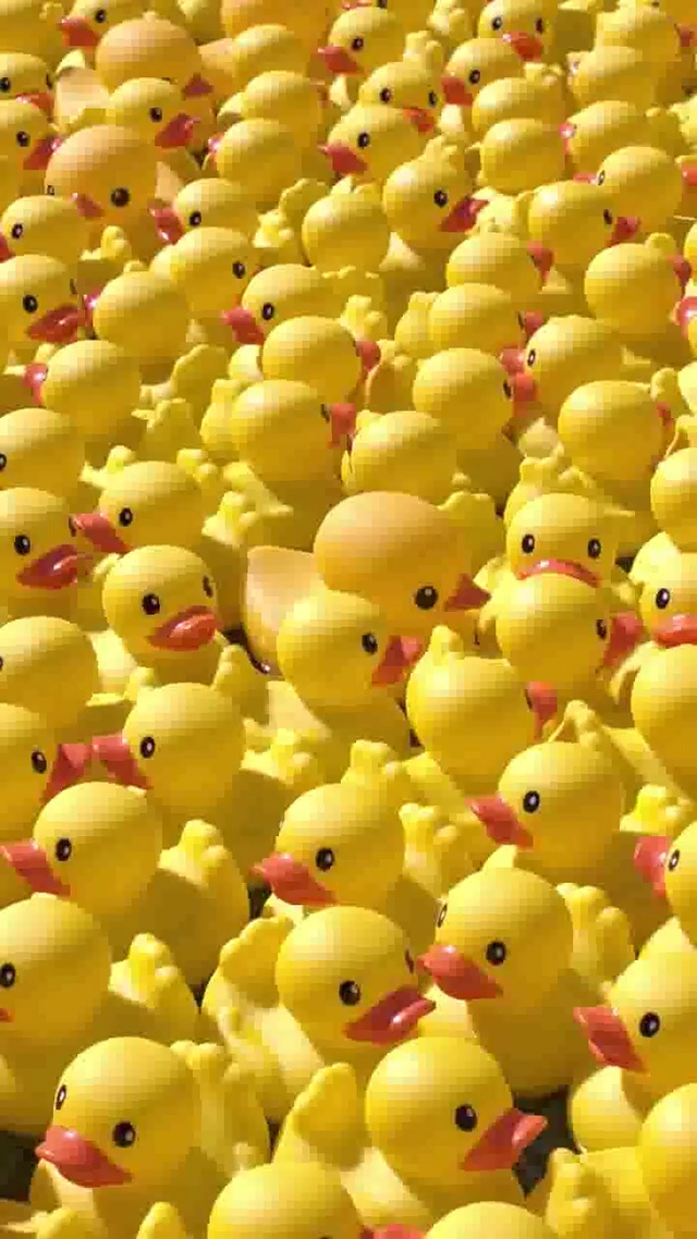 很多小黄鸭向你袭来