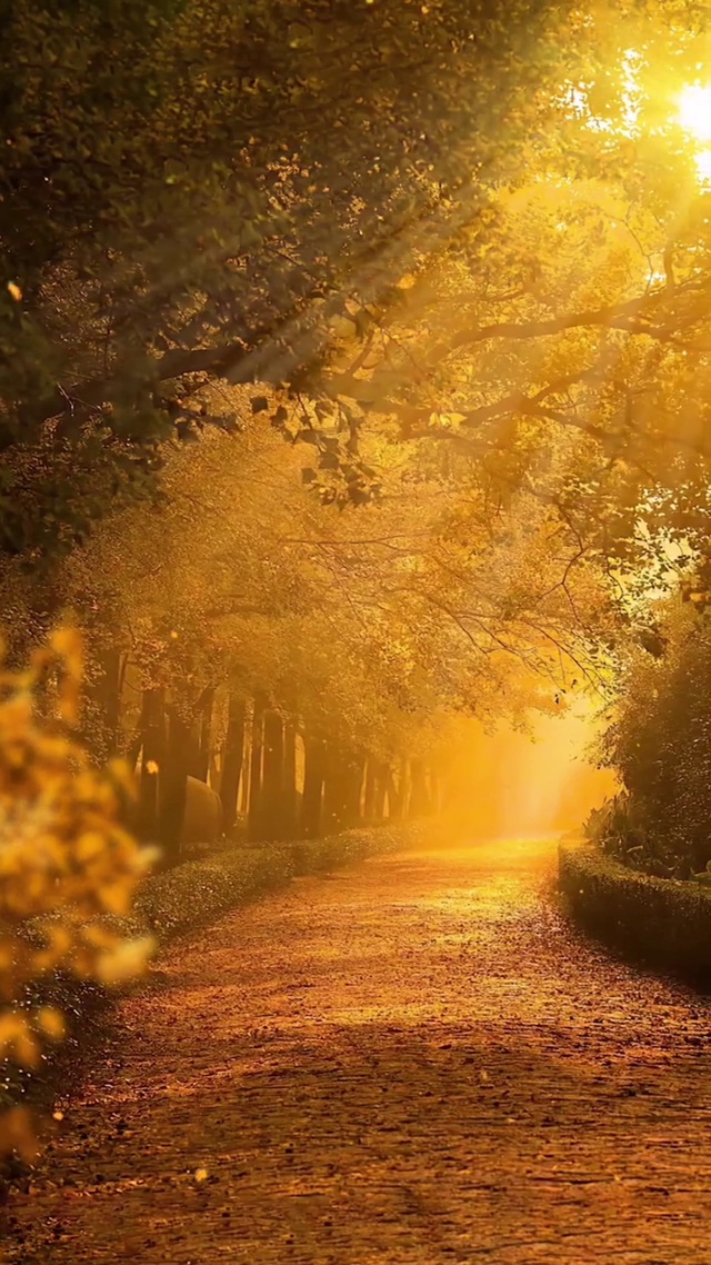 这就是秋天的味道