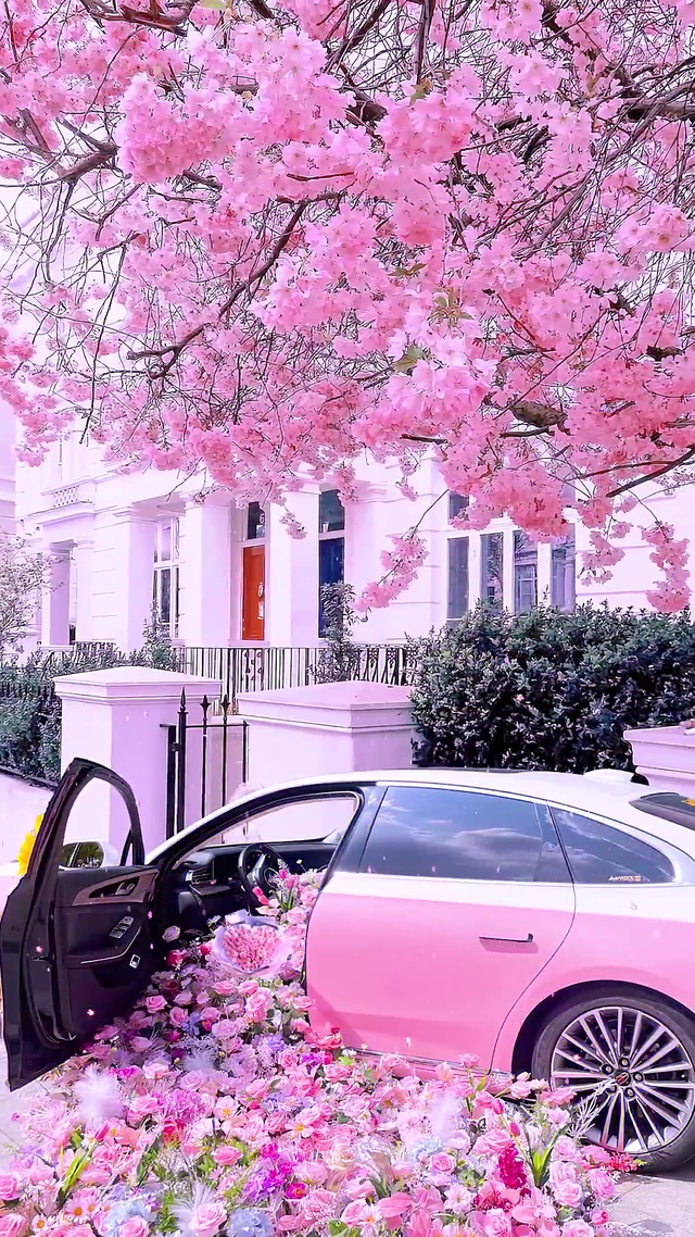 浪漫樱花玫瑰车