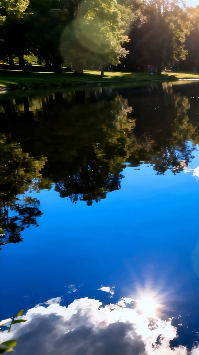 护眼绿景树木河流