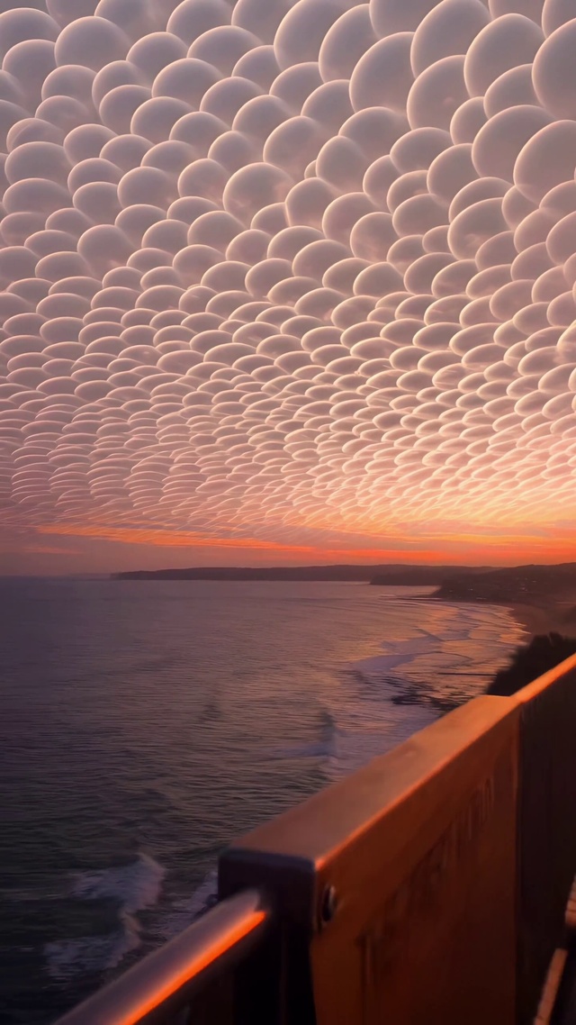 日出东方落于西，朝思暮想念于你