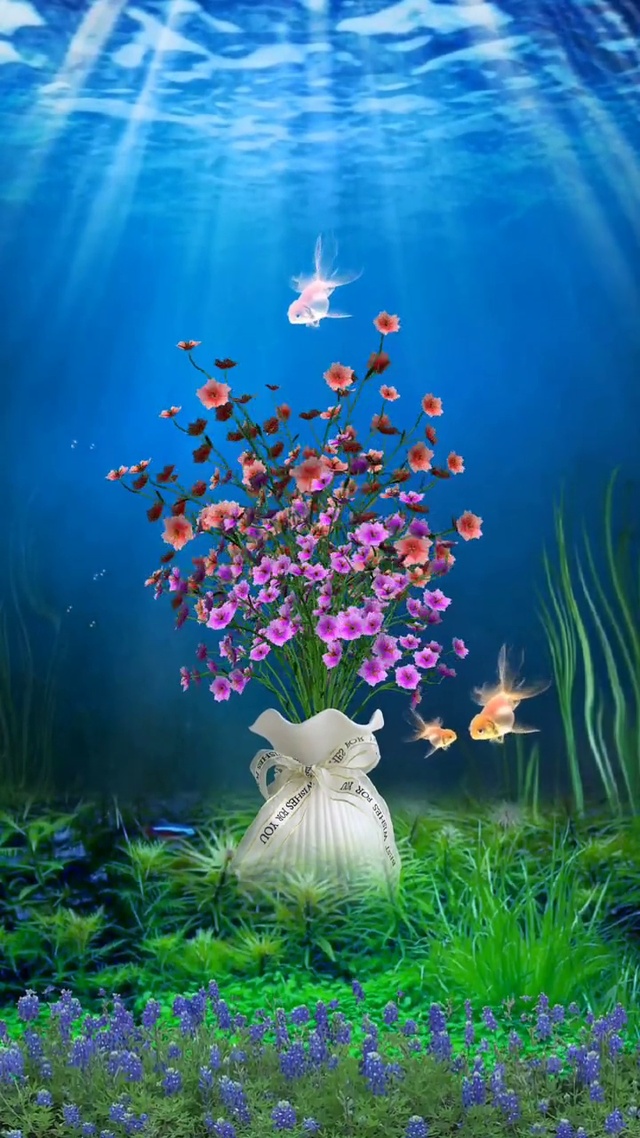 水中花镜中月