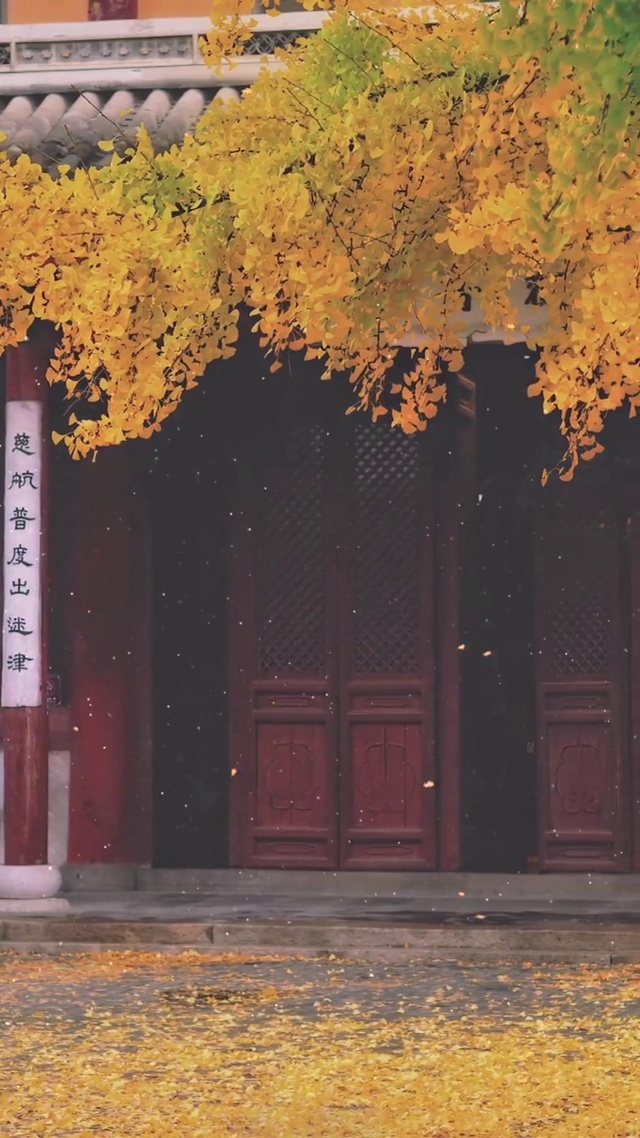 渐入深秋，愁绪更浓