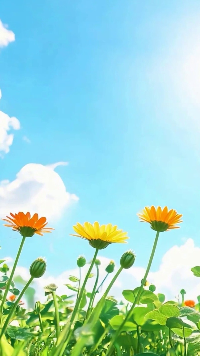 护眼白云花草树木