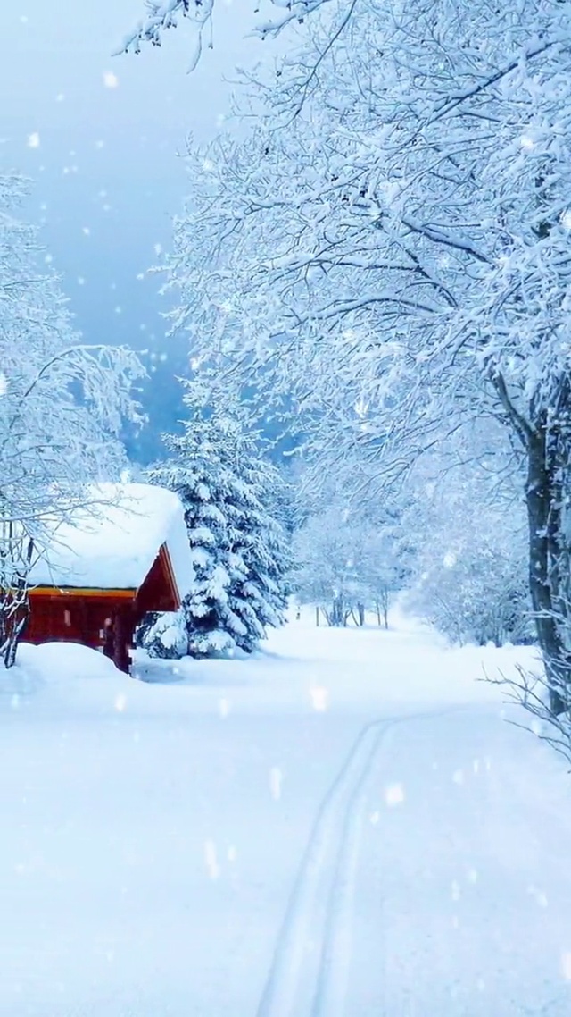 相约看雪