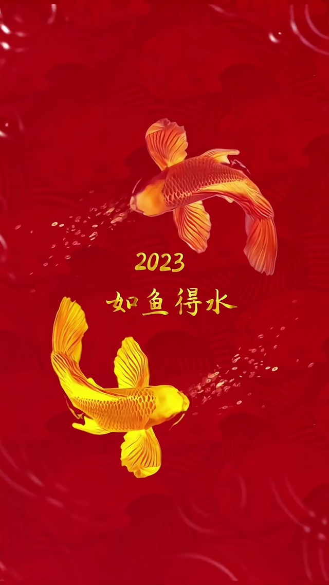 2023如鱼得水