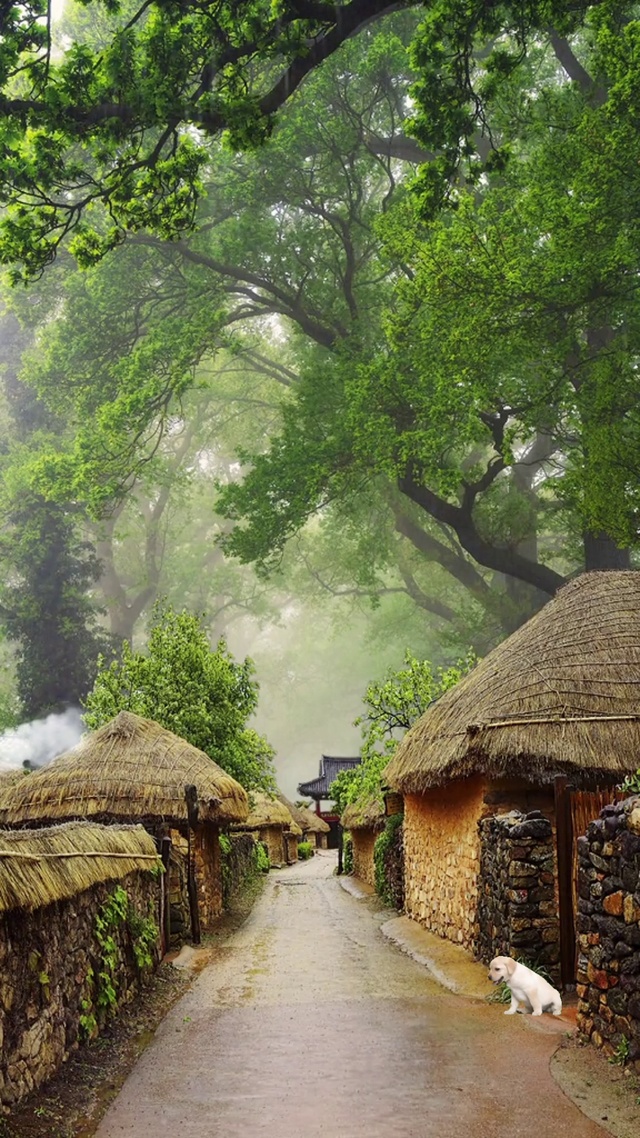 这样的天，适合睡觉看书！