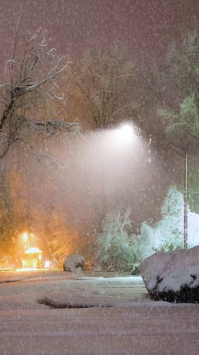 爆款粉色治愈雪景